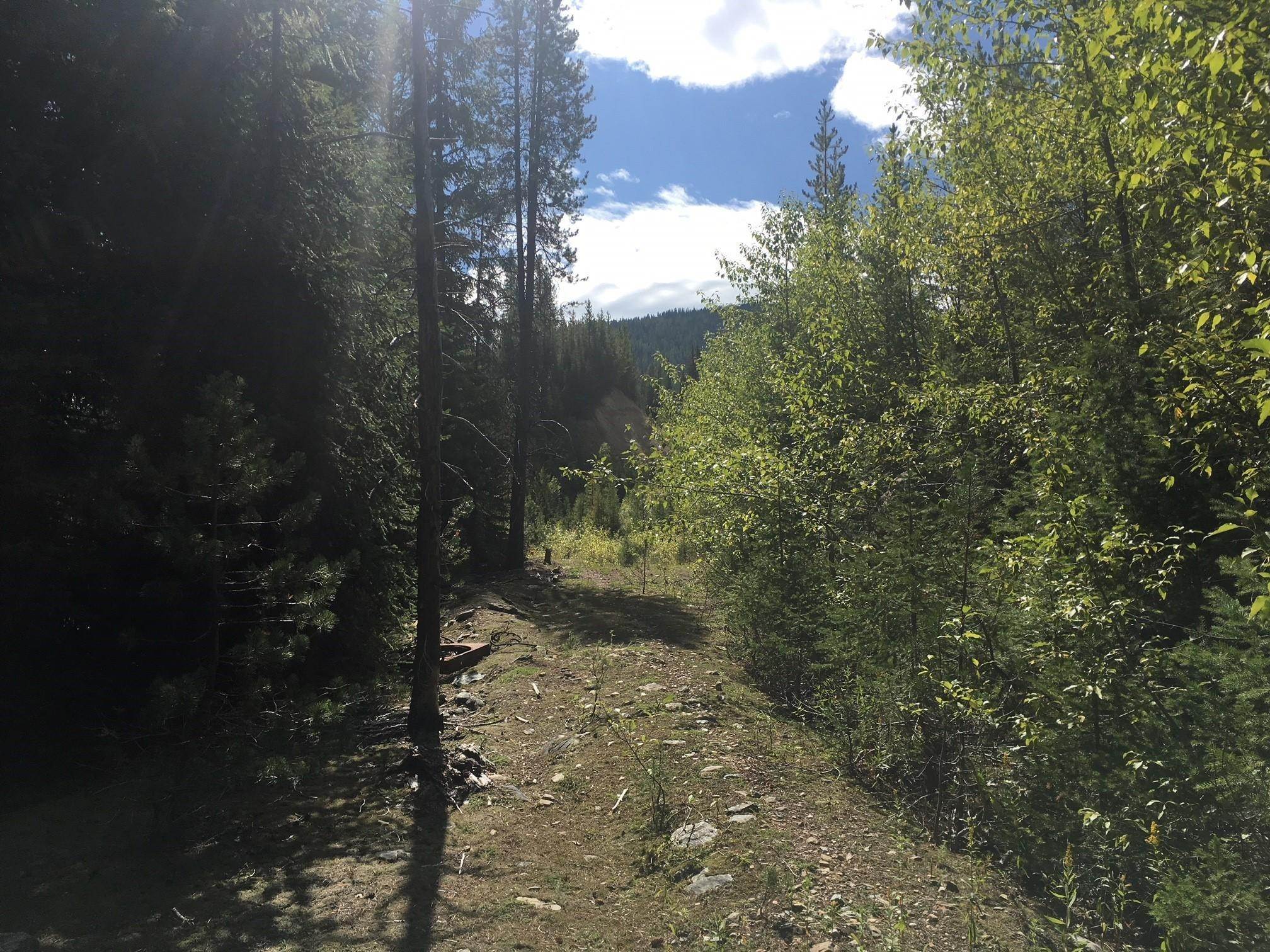 19. Land for Sale at Snowshoe Pass Road, Superior, Montana 59872 United States