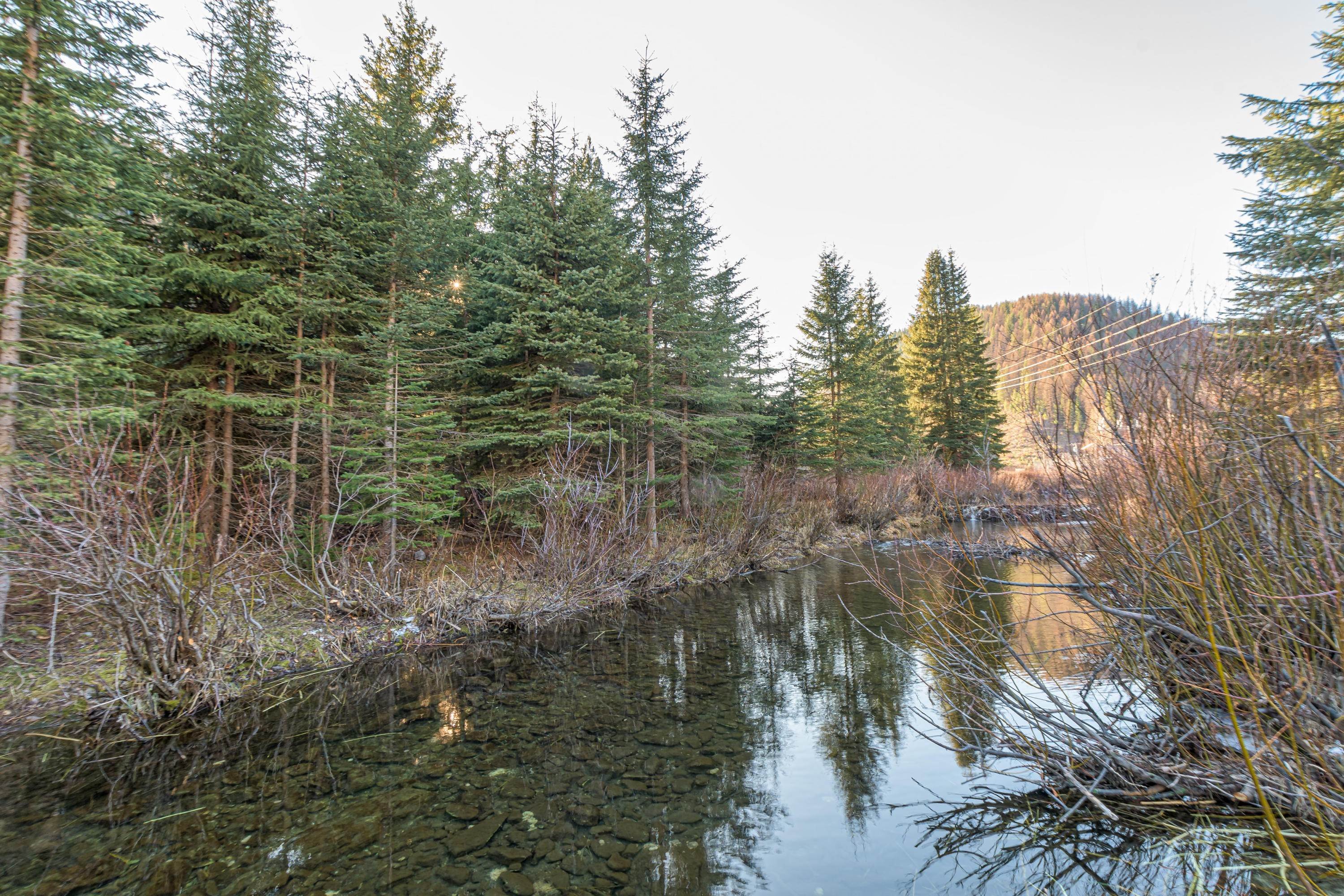16. Land for Sale at Nhn Road, Saltese, Montana 59867 United States