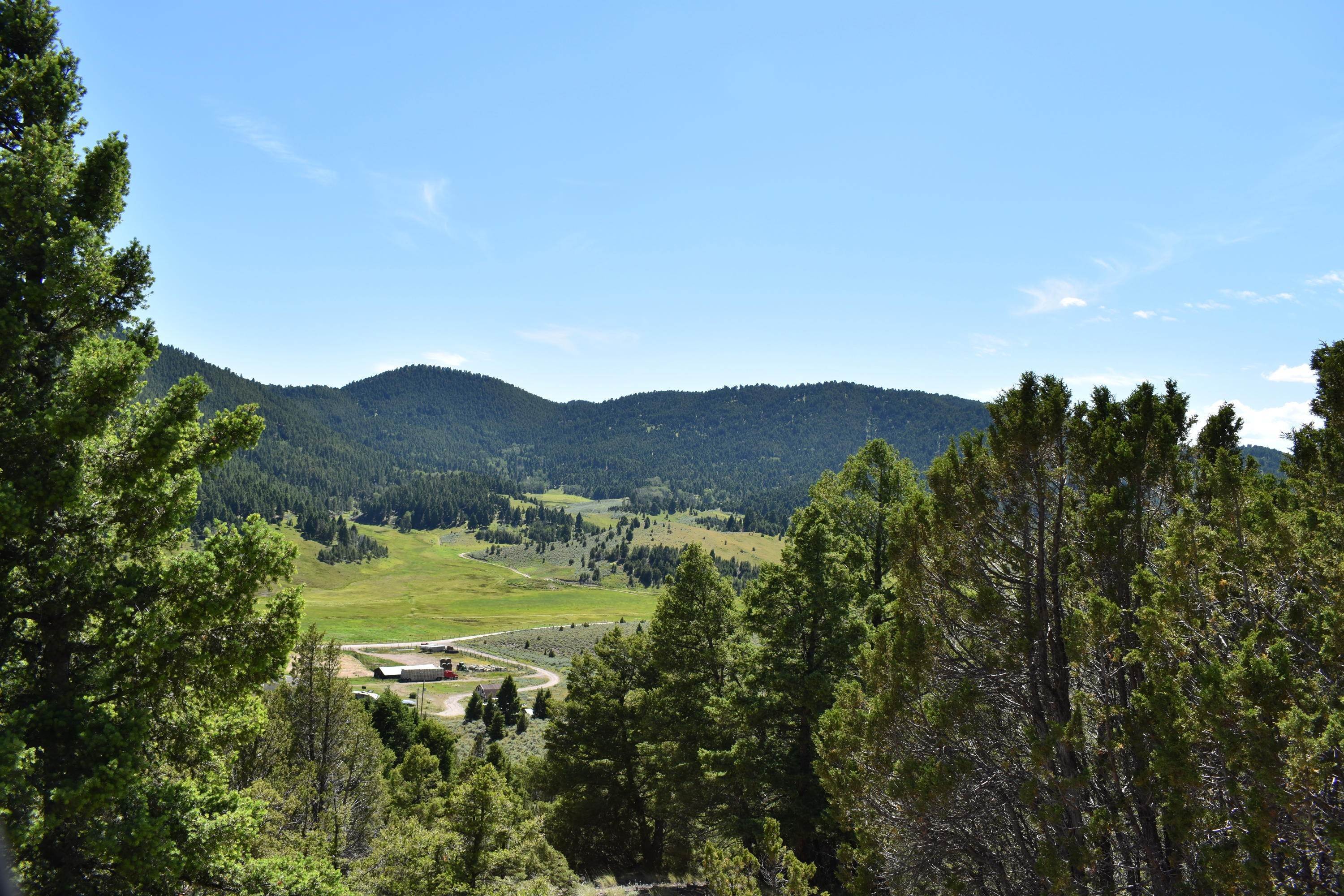 12. Land for Sale at Meadow Gulch Road, Butte, Montana 59701 United States