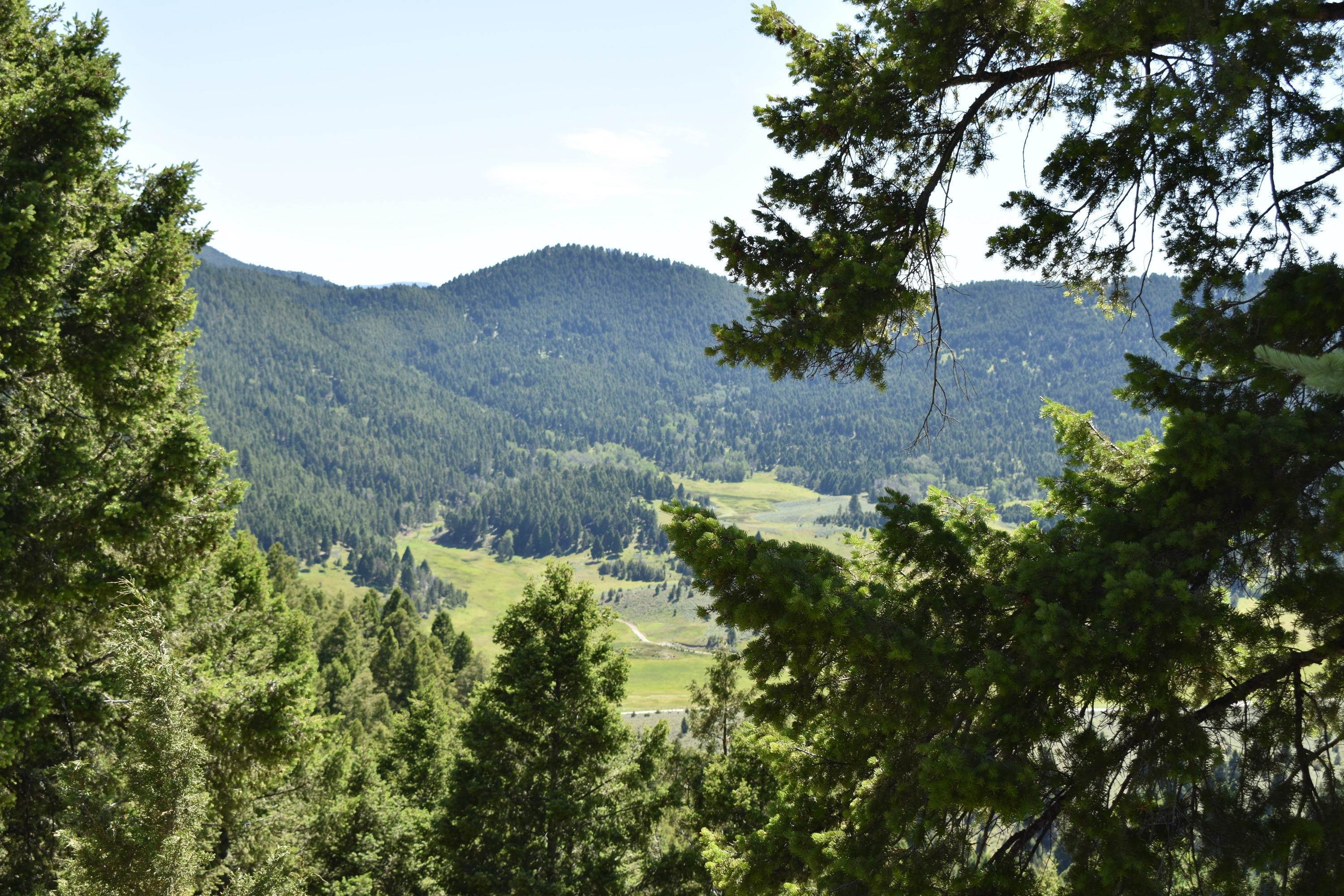 15. Land for Sale at Meadow Gulch Road, Butte, Montana 59701 United States