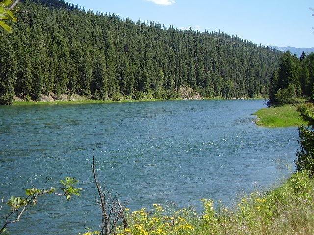 2. Land for Sale at 4049 Jennings Haul Road Libby, Montana 59923 United States