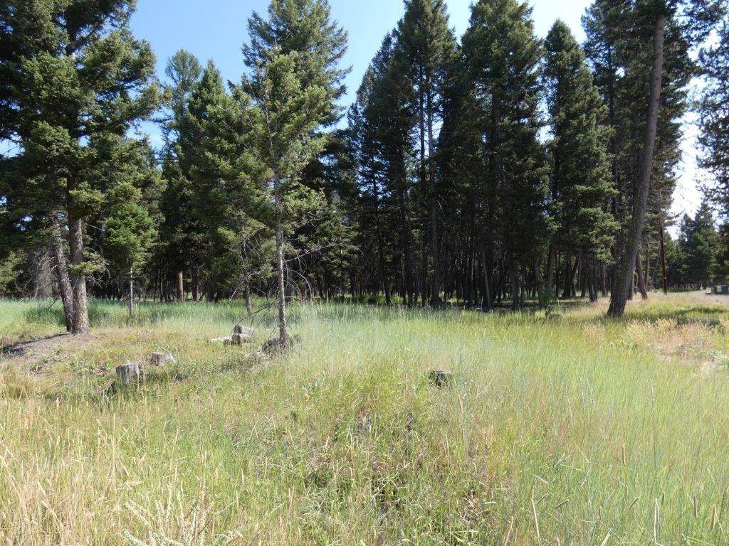 3. Land for Sale at 3214 Hwy 83, Seeley Lake, Montana 59868 United States