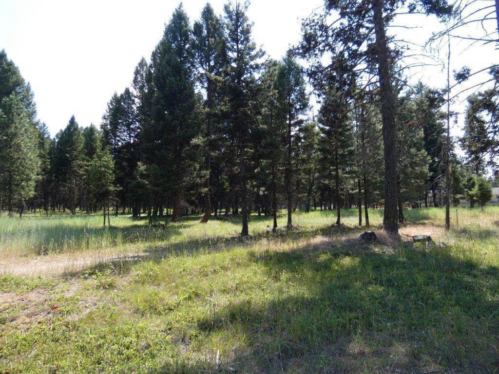 9. Land for Sale at 3214 Hwy 83, Seeley Lake, Montana 59868 United States