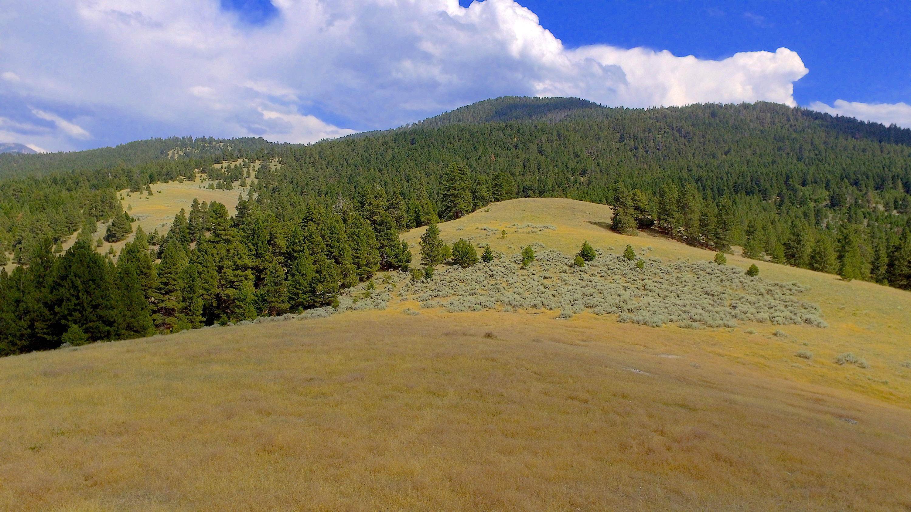 Land for Sale at Hamilton Heights Road Corvallis, Montana 59828 United States