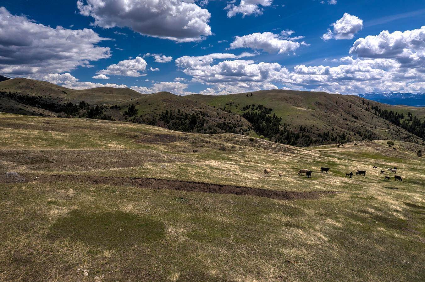 13. Land for Sale at Edwards Gulch Road, Drummond, Montana 59832 United States
