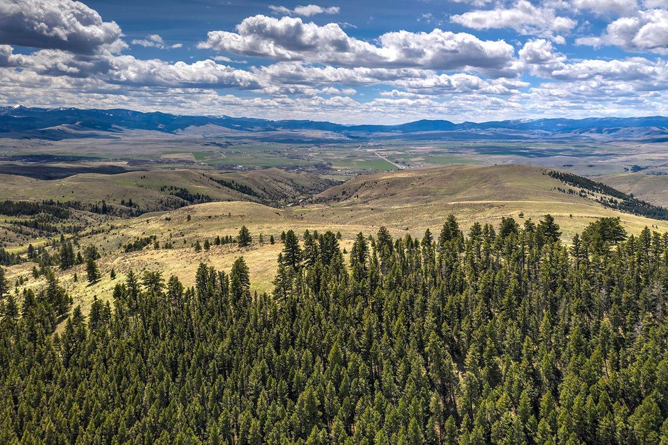 20. Land for Sale at Edwards Gulch Road, Drummond, Montana 59832 United States