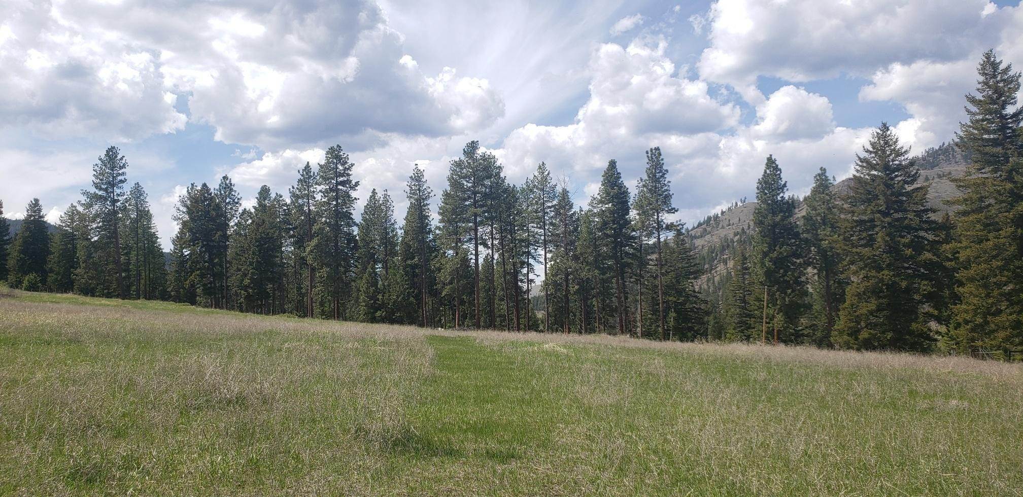 5. Land for Sale at Thayer Road, Lolo, Montana 59847 United States