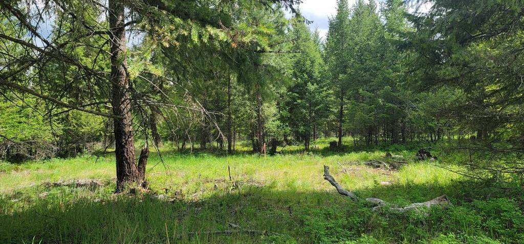 2. Land for Sale at Tbd, Lot 3 Parmenter Road, Libby, Montana 59923 United States