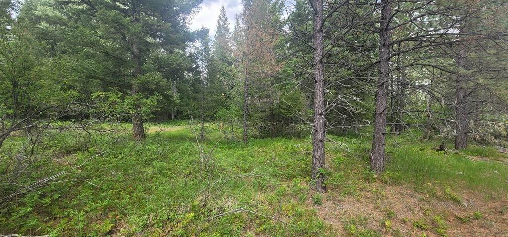 16. Land for Sale at Tbd, Lot 3 Parmenter Road, Libby, Montana 59923 United States