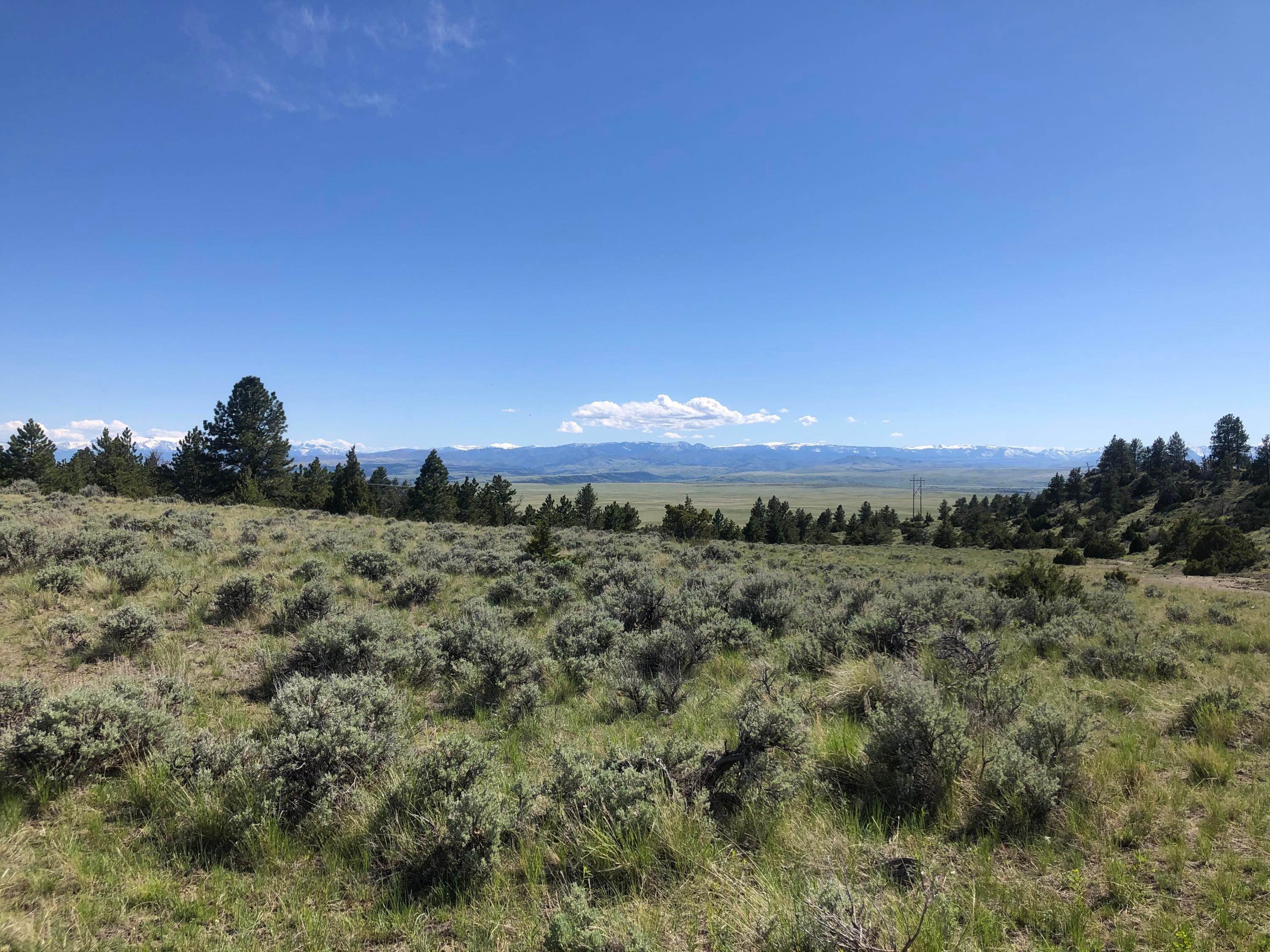 12. Farm / Agriculture for Sale at 876 Lower Sweet Grass Road, Big Timber, Montana 59011 United States