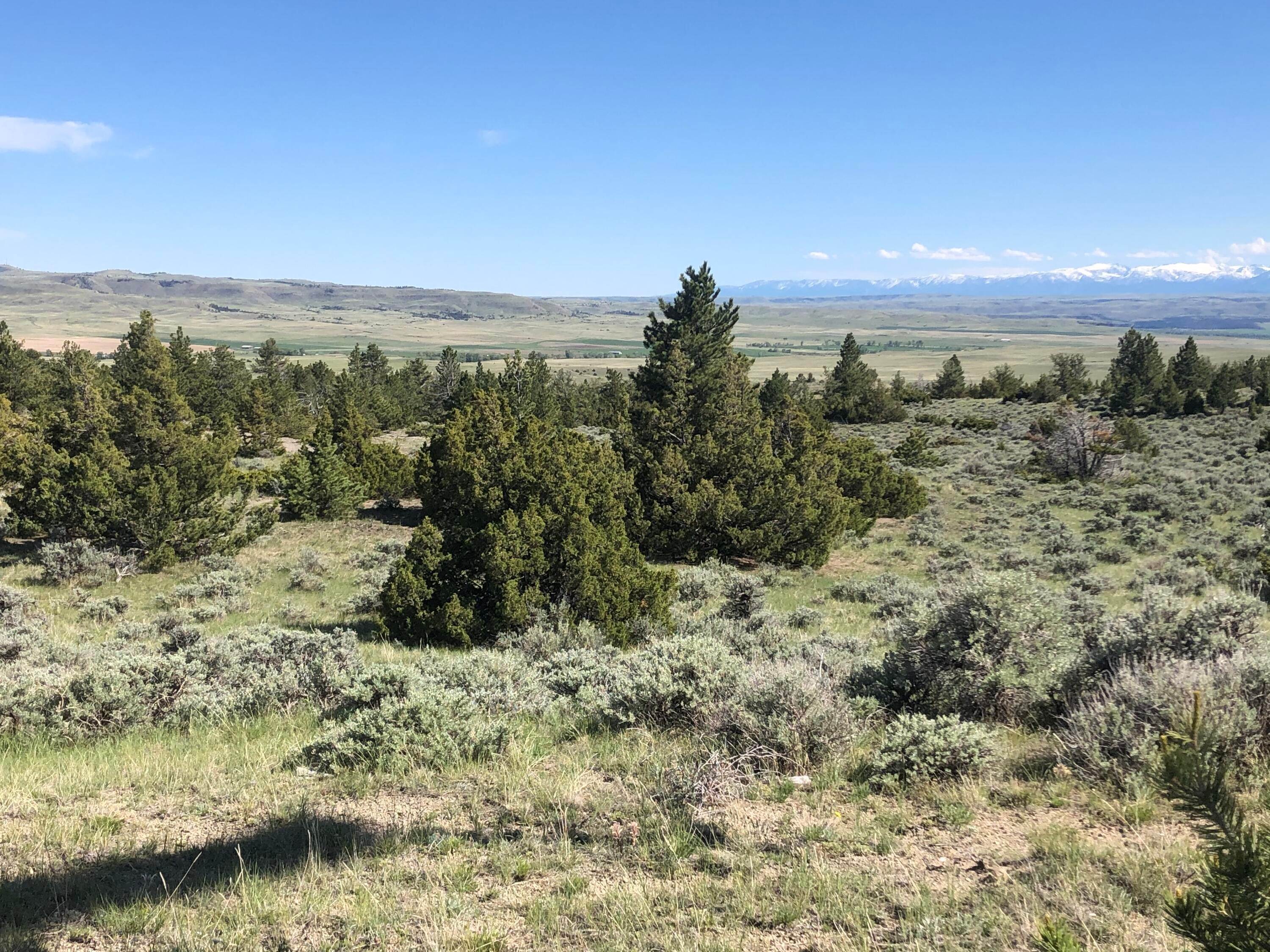 15. Farm / Agriculture for Sale at 876 Lower Sweet Grass Road, Big Timber, Montana 59011 United States