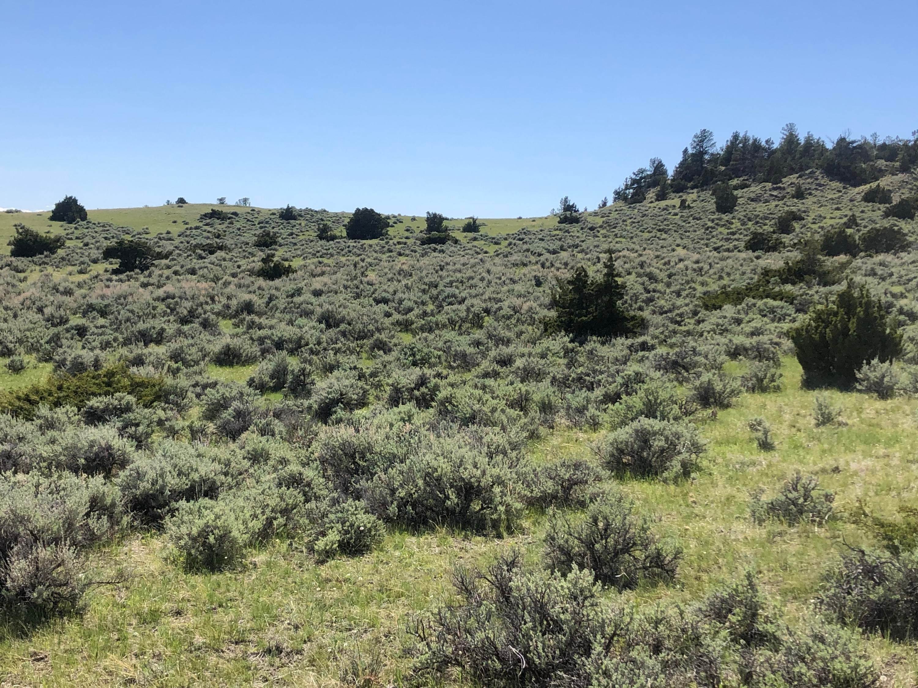 20. Farm / Agriculture for Sale at 876 Lower Sweet Grass Road, Big Timber, Montana 59011 United States
