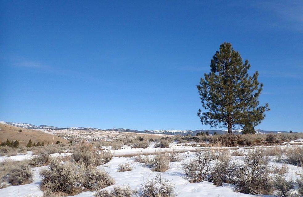 6. Land for Sale at 613 Willy Way, Florence, Montana 59833 United States