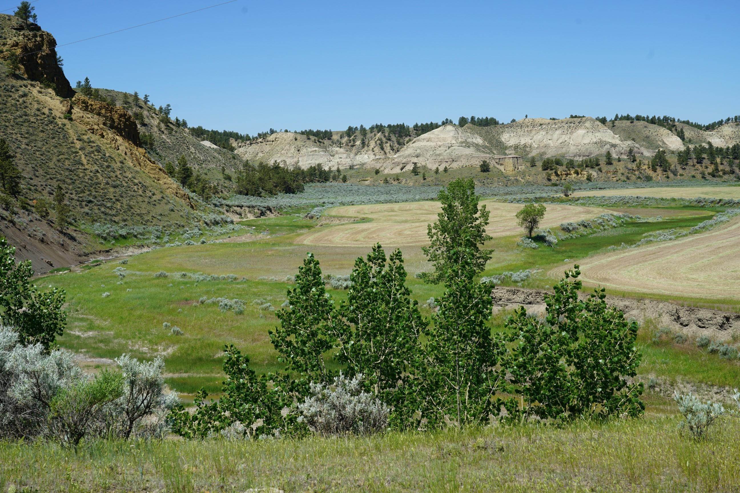 14. Farm / Agriculture for Sale at 43 Zy Brown Ranch Road Big Sandy, Montana 59520 United States