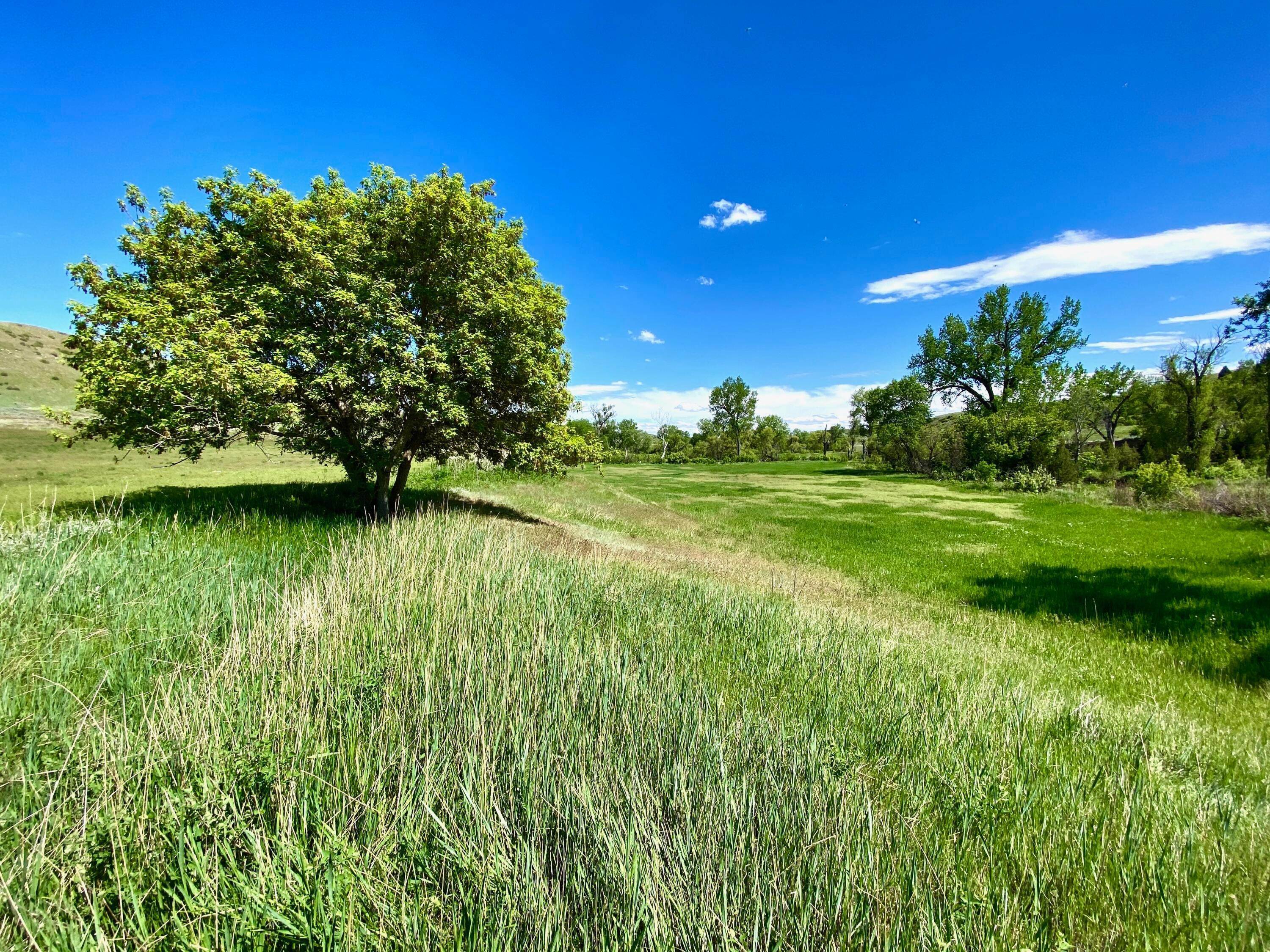 7. Land for Sale at Blue Creek Road Billings, Montana 59101 United States