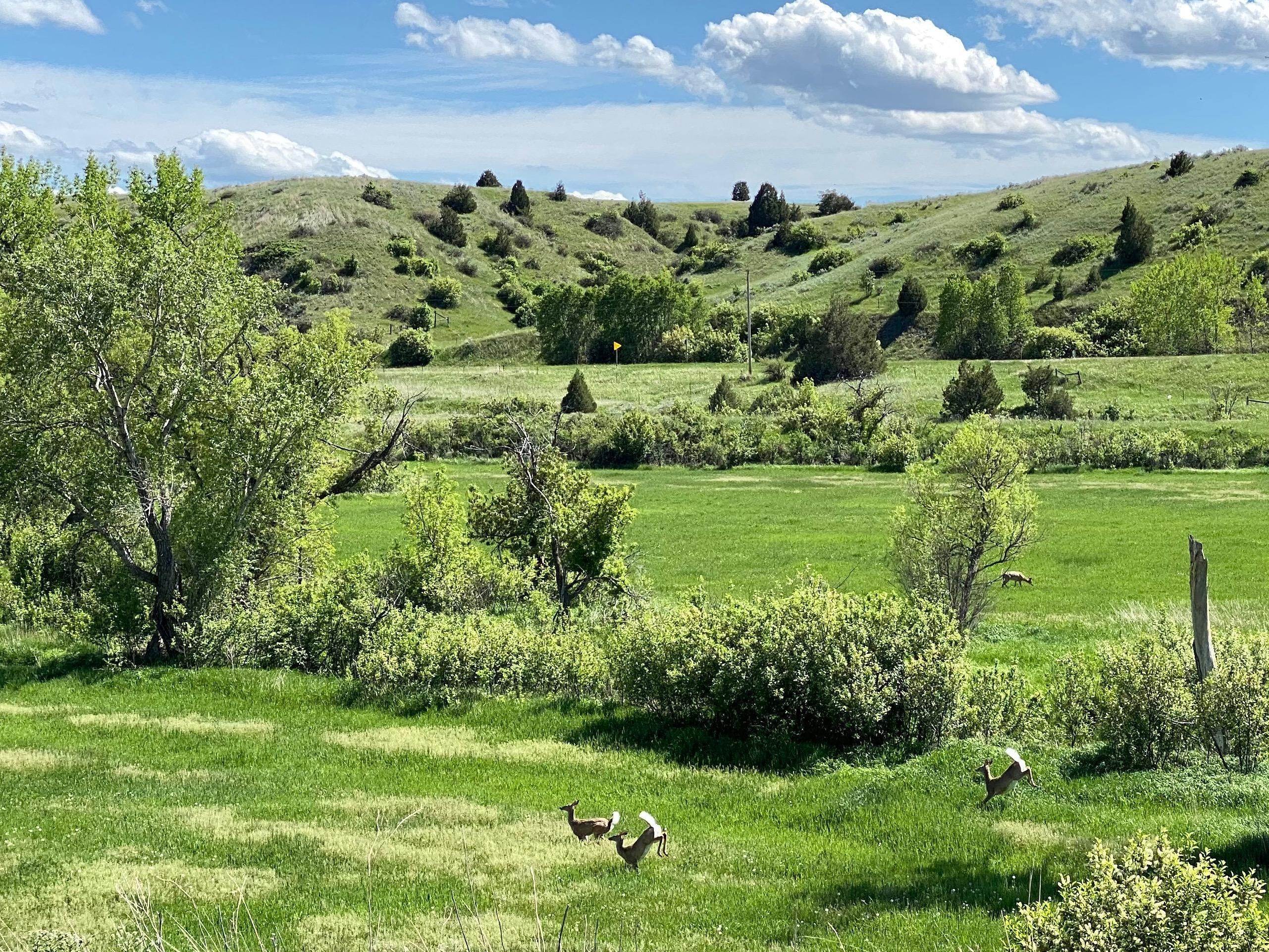 Land for Sale at Blue Creek Road Billings, Montana 59101 United States