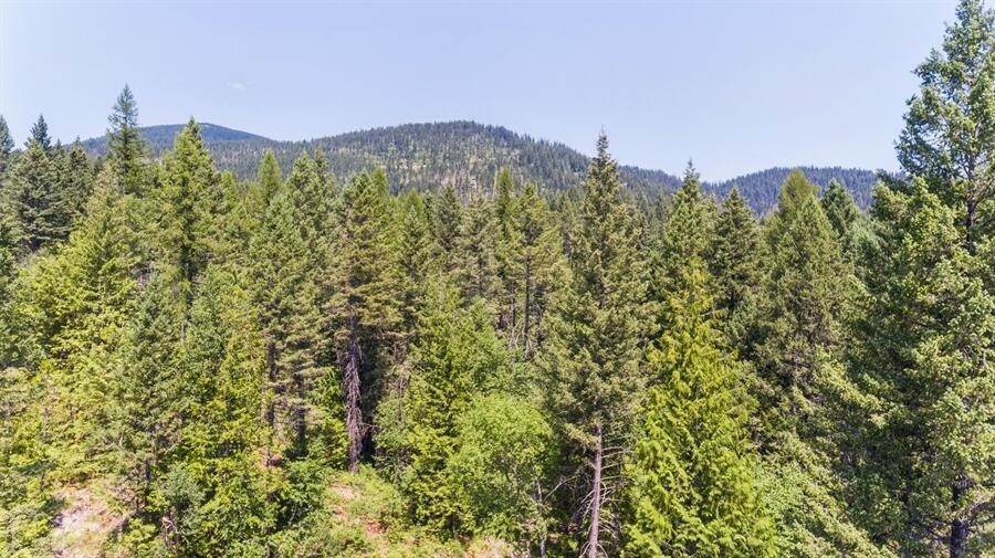 4. Land for Sale at 201 Abbey Road, Whitefish, Montana 59937 United States