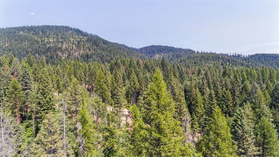 11. Land for Sale at 201 Abbey Road, Whitefish, Montana 59937 United States