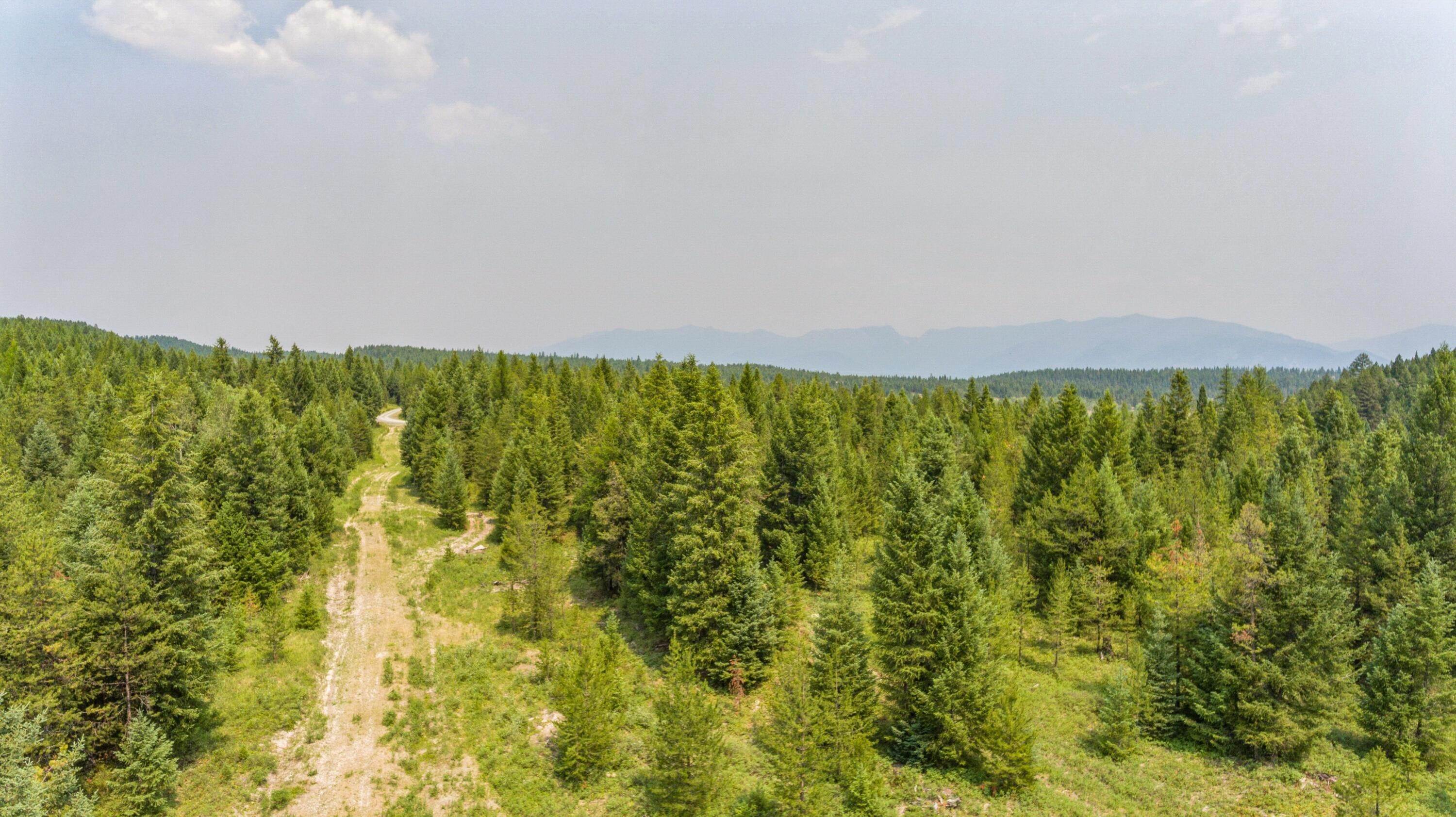 14. Land for Sale at Meadow Creek Road, Fortine, Montana 59918 United States
