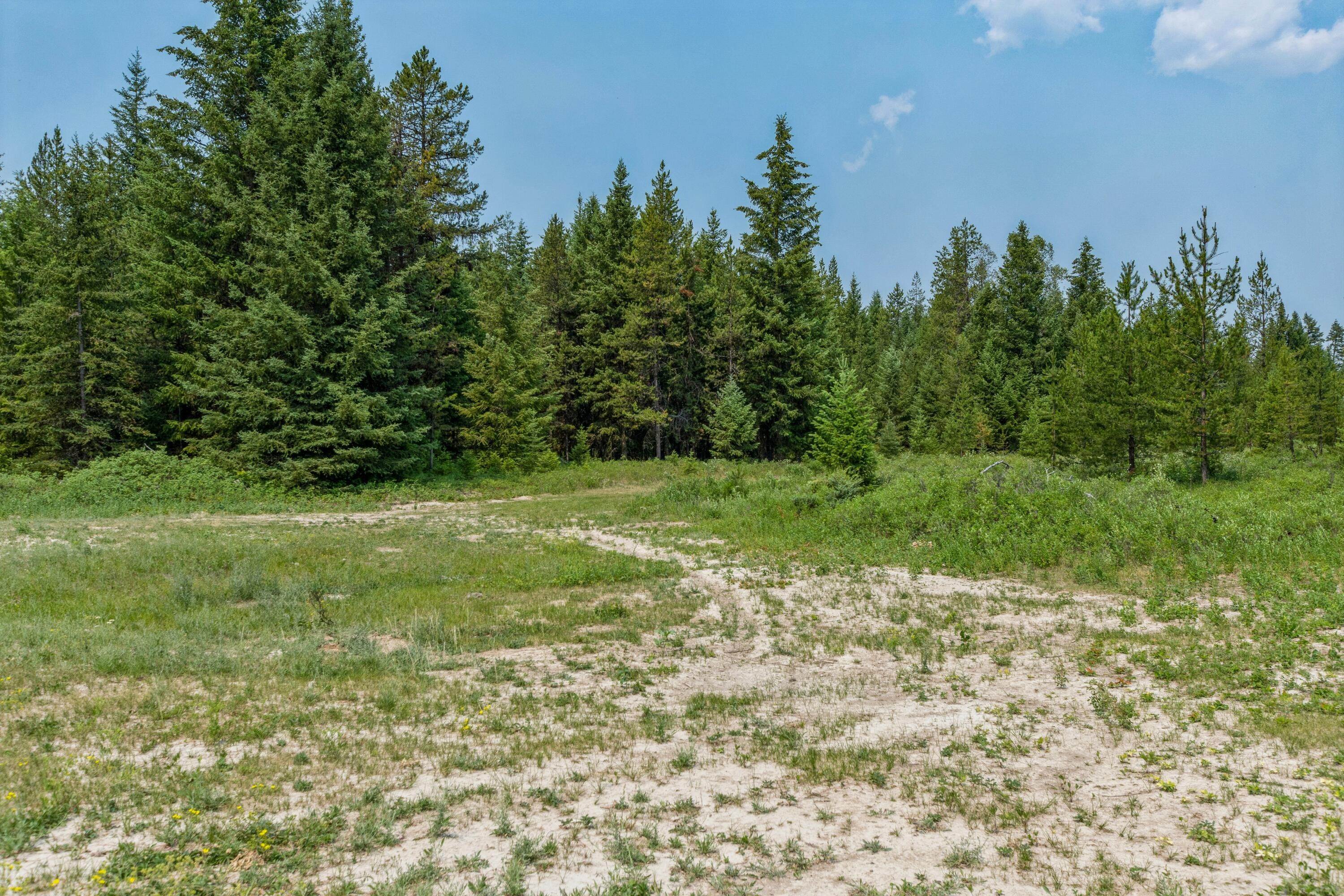 15. Land for Sale at Meadow Creek Road, Fortine, Montana 59918 United States