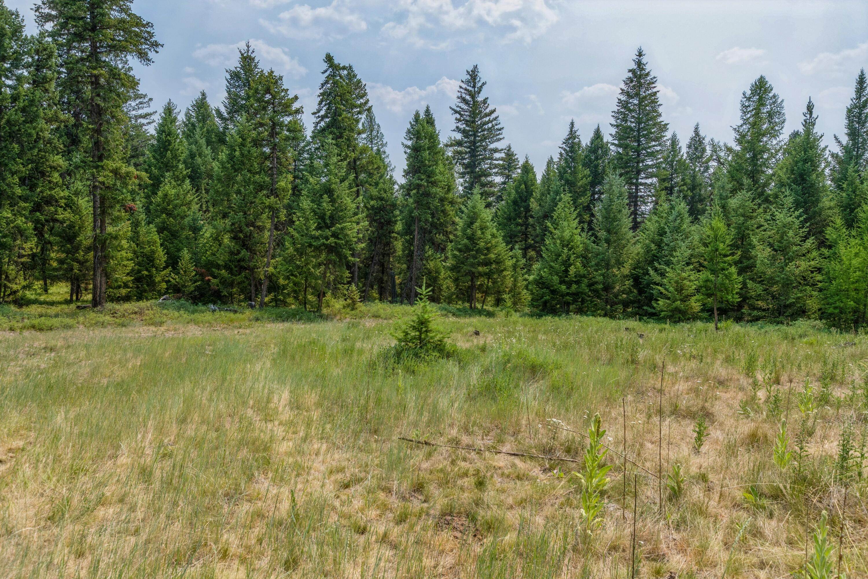 17. Land for Sale at Meadow Creek Road, Fortine, Montana 59918 United States