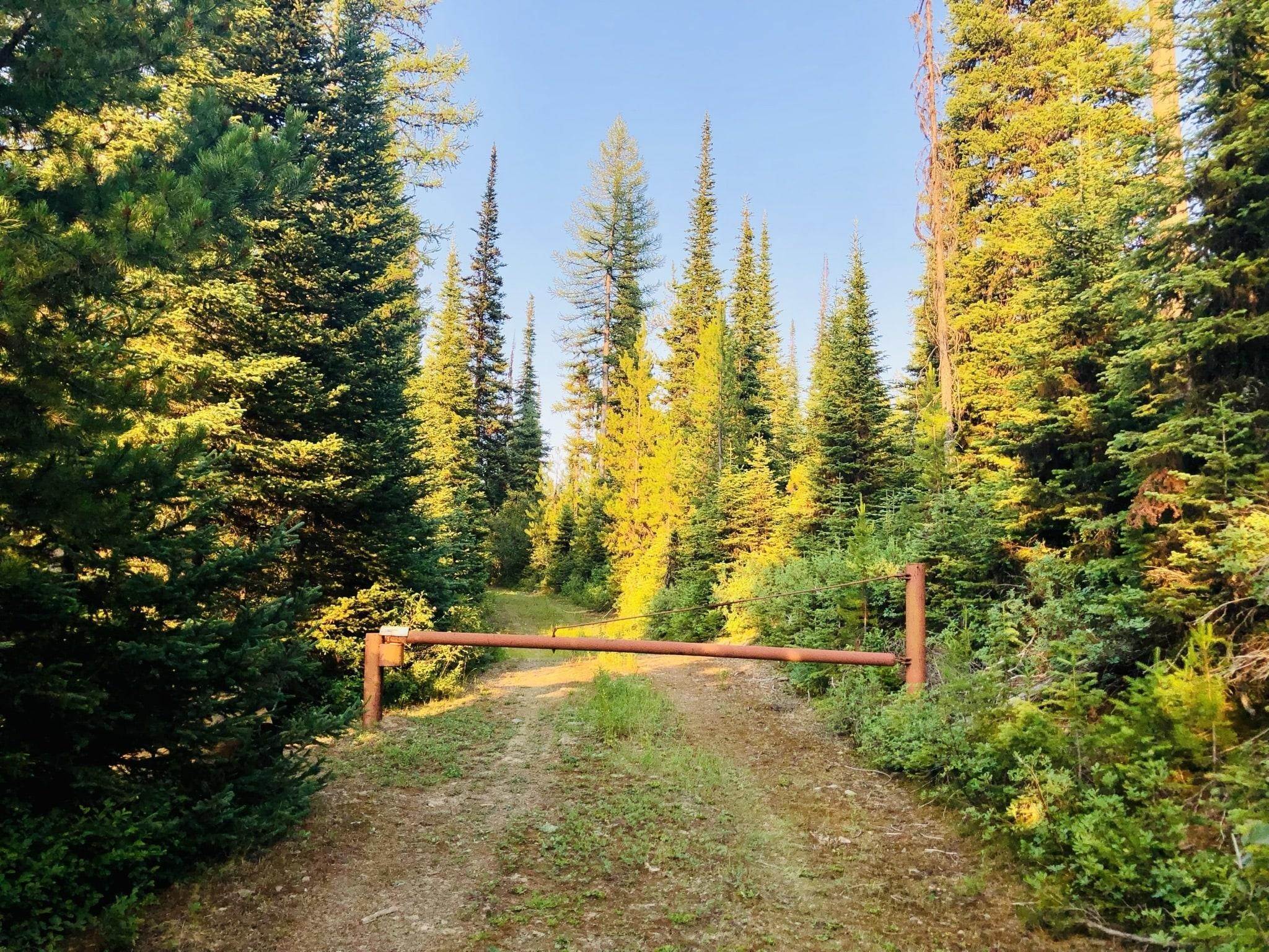 3. Land for Sale at Mill Creek Road, Frenchtown, Montana 59834 United States