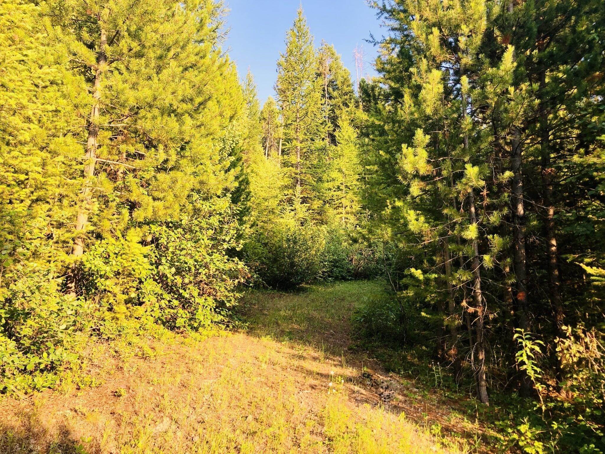 6. Land for Sale at Mill Creek Road, Frenchtown, Montana 59834 United States