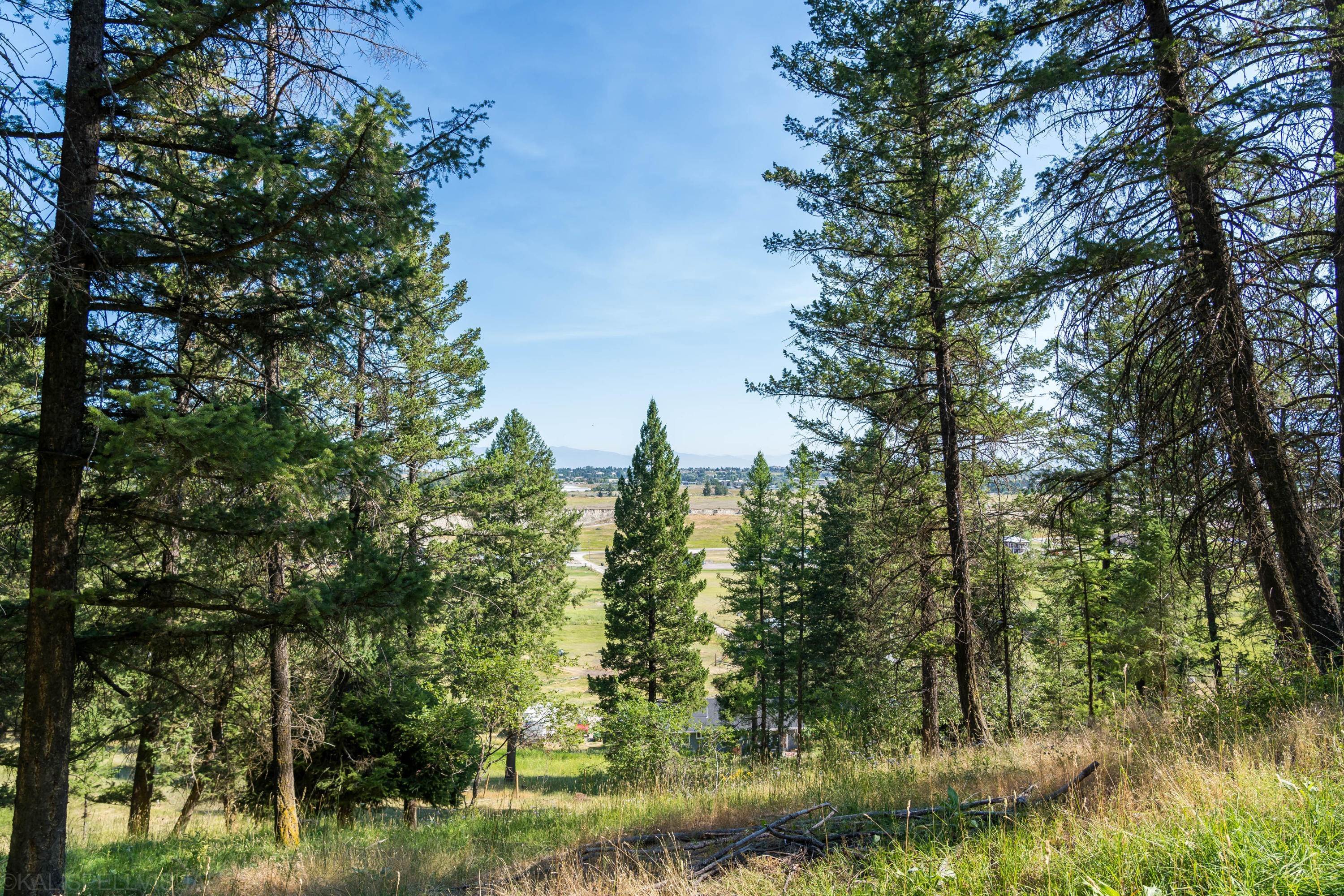 18. Land for Sale at 985 Foys Lake Road Kalispell, Montana 59901 United States