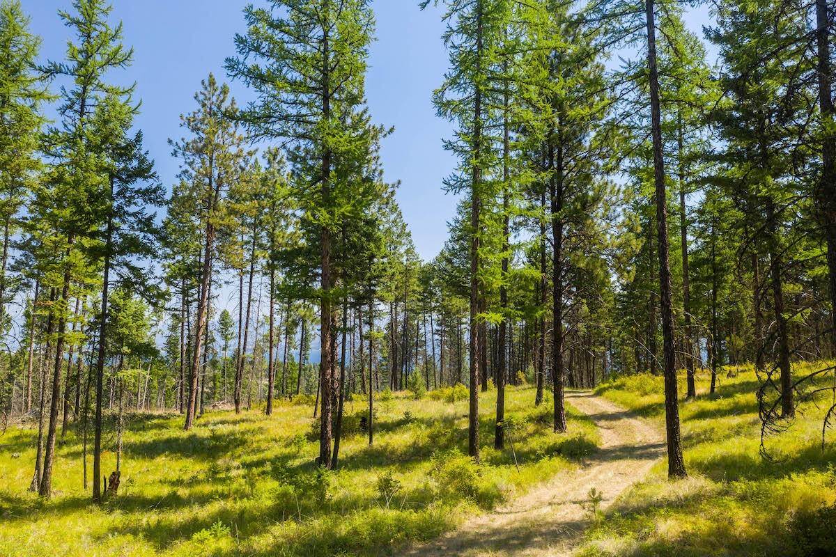 7. Land for Sale at 6870 Us Hwy 93, Lakeside, Montana 59922 United States