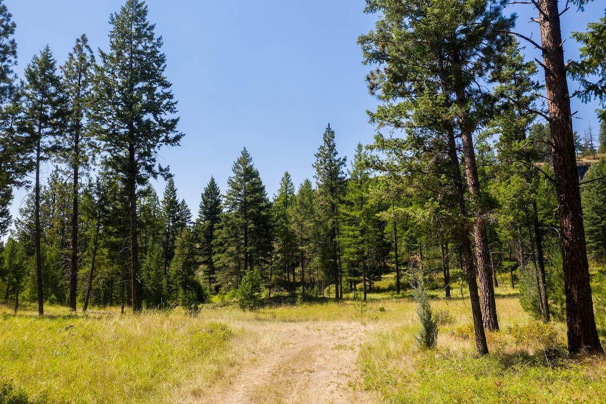 8. Land for Sale at 6870 Us Hwy 93, Lakeside, Montana 59922 United States