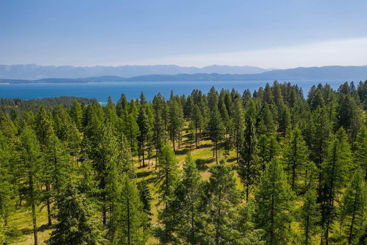 Land for Sale at 6870 Us Hwy 93, Lakeside, Montana 59922 United States