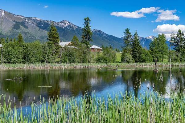9. Single Family Homes for Sale at 2705 Rumble Creek Road Condon, Montana 59826 United States