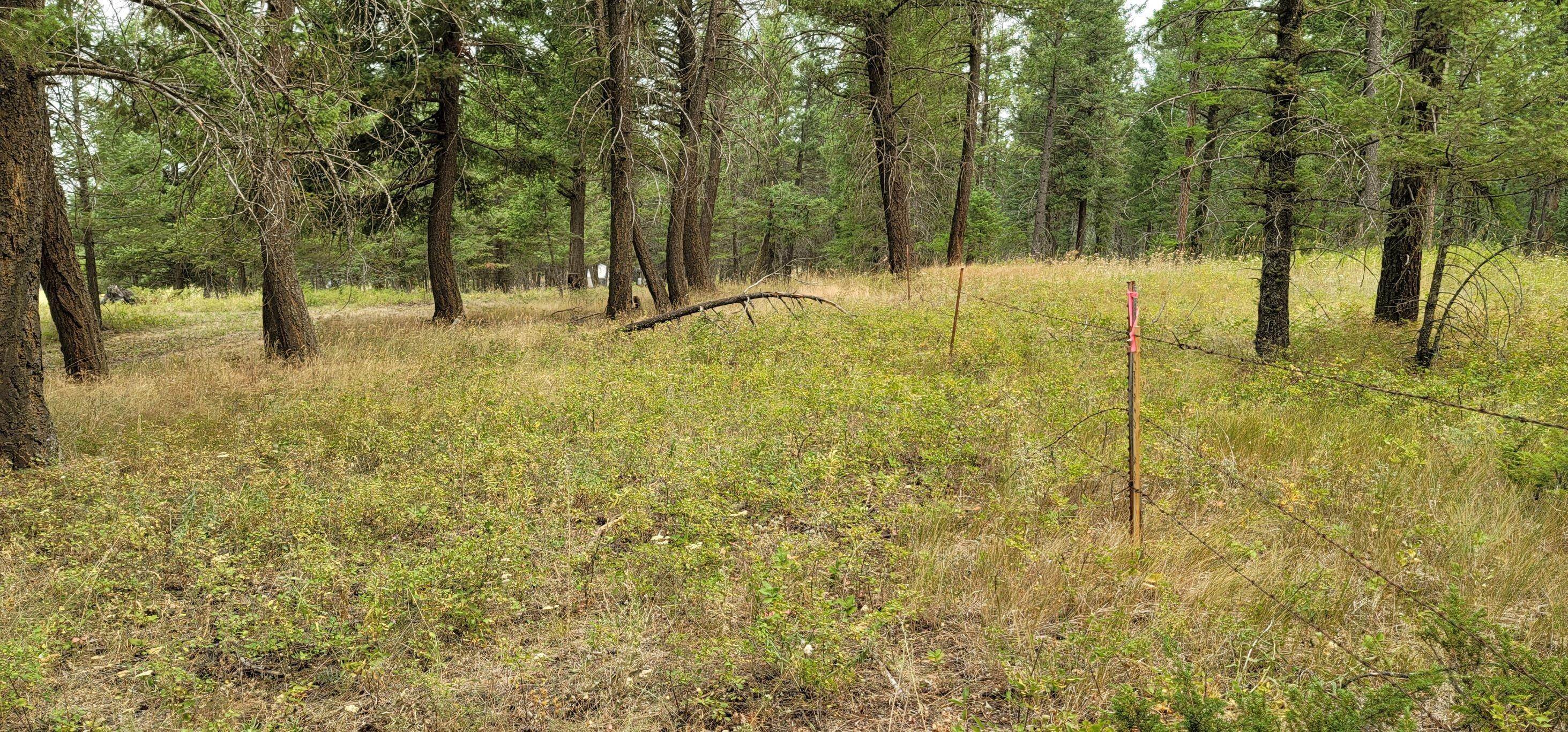 11. Land for Sale at Address Not Available Whitefish, Montana 59937 United States