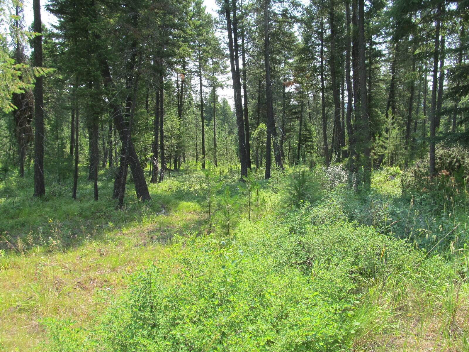 9. Land for Sale at 1182 Lake Meadow Way Columbia Falls, Montana 59912 United States