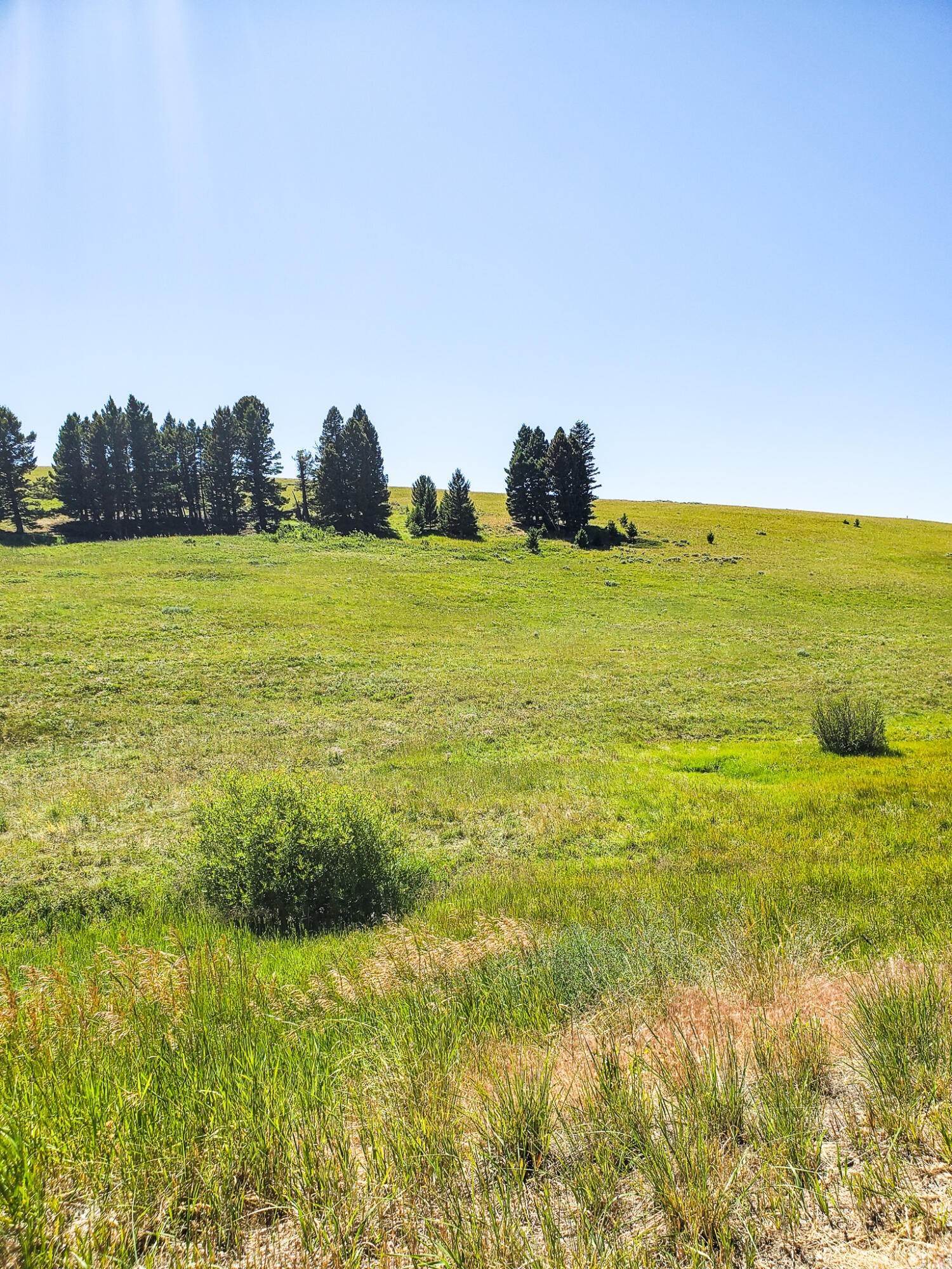 17. Land for Sale at Deep Creek, Townsend, Montana 59644 United States