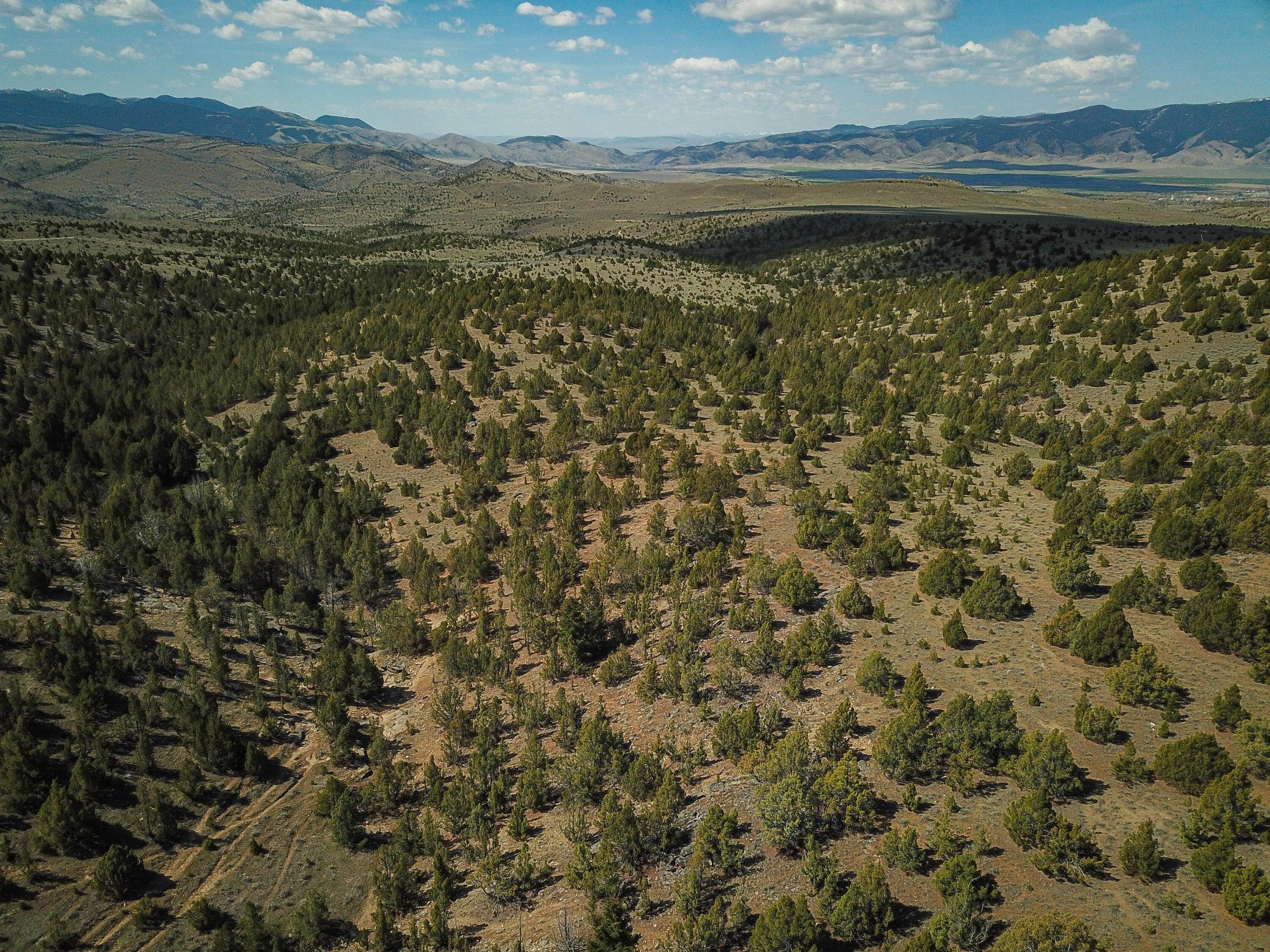 18. Land for Sale at Mt Hwy 287, Virginia City, Montana 59755 United States