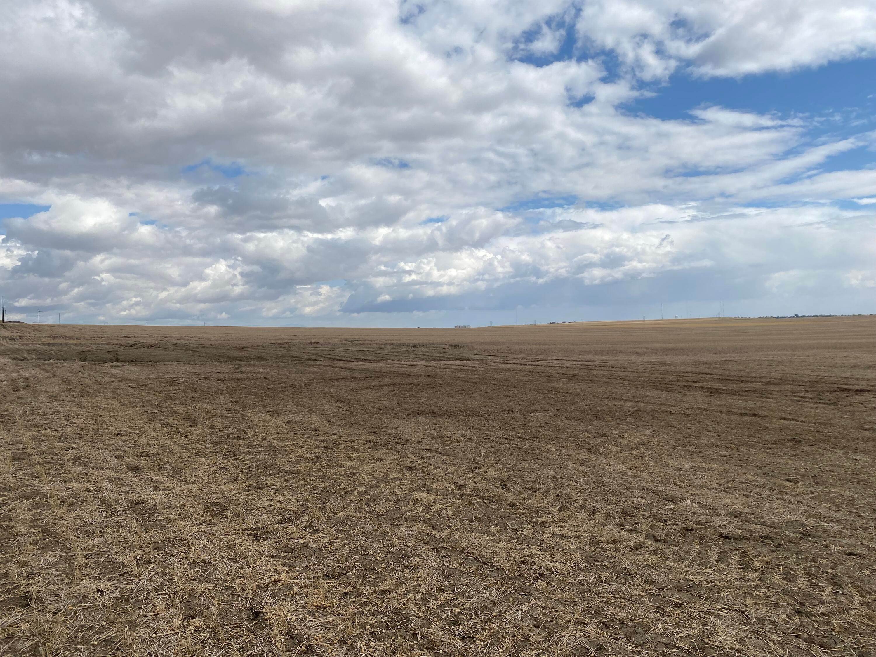 4. Land for Sale at 287 Vinyard Road, Great Falls, Montana 59404 United States