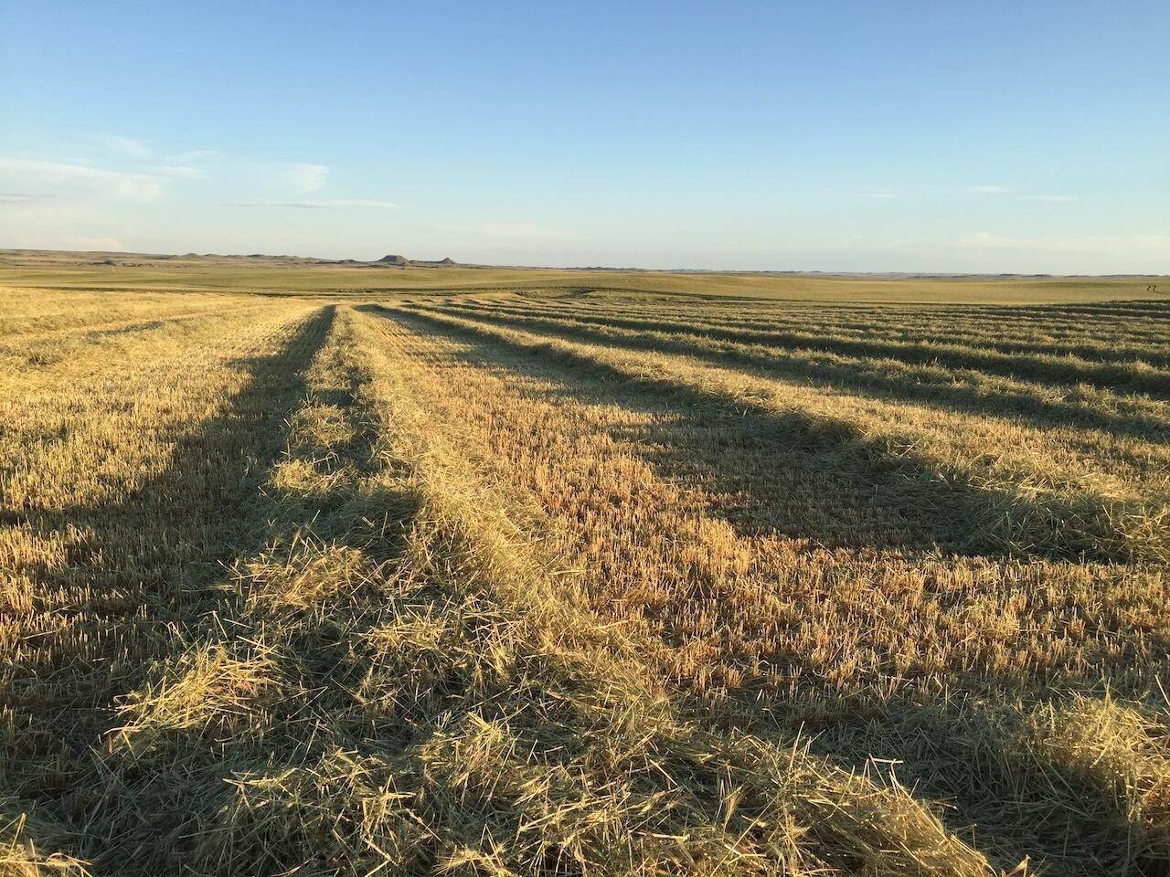 8. Farm / Agriculture for Sale at 134 East Little Dry Road Cohagen, Montana 59322 United States