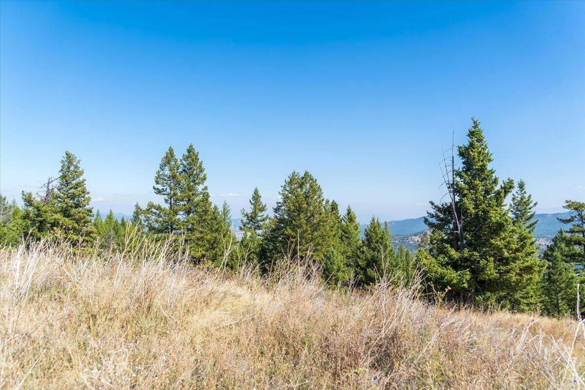 19. Land for Sale at High Ridge Trail, Kila, Montana 59920 United States
