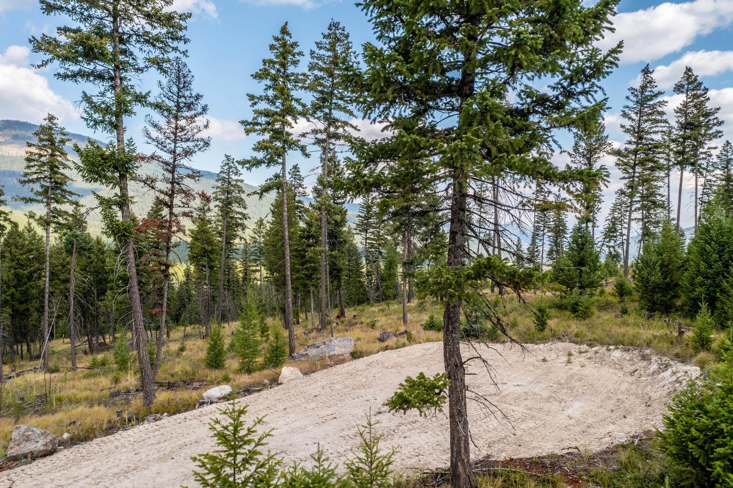 12. Land for Sale at Browns Meadow Road Kila, Montana 59920 United States