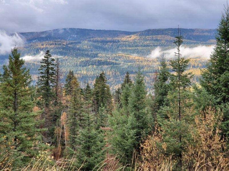 Land for Sale at 15500 Rustic Ridge Bigfork, Montana 59911 United States