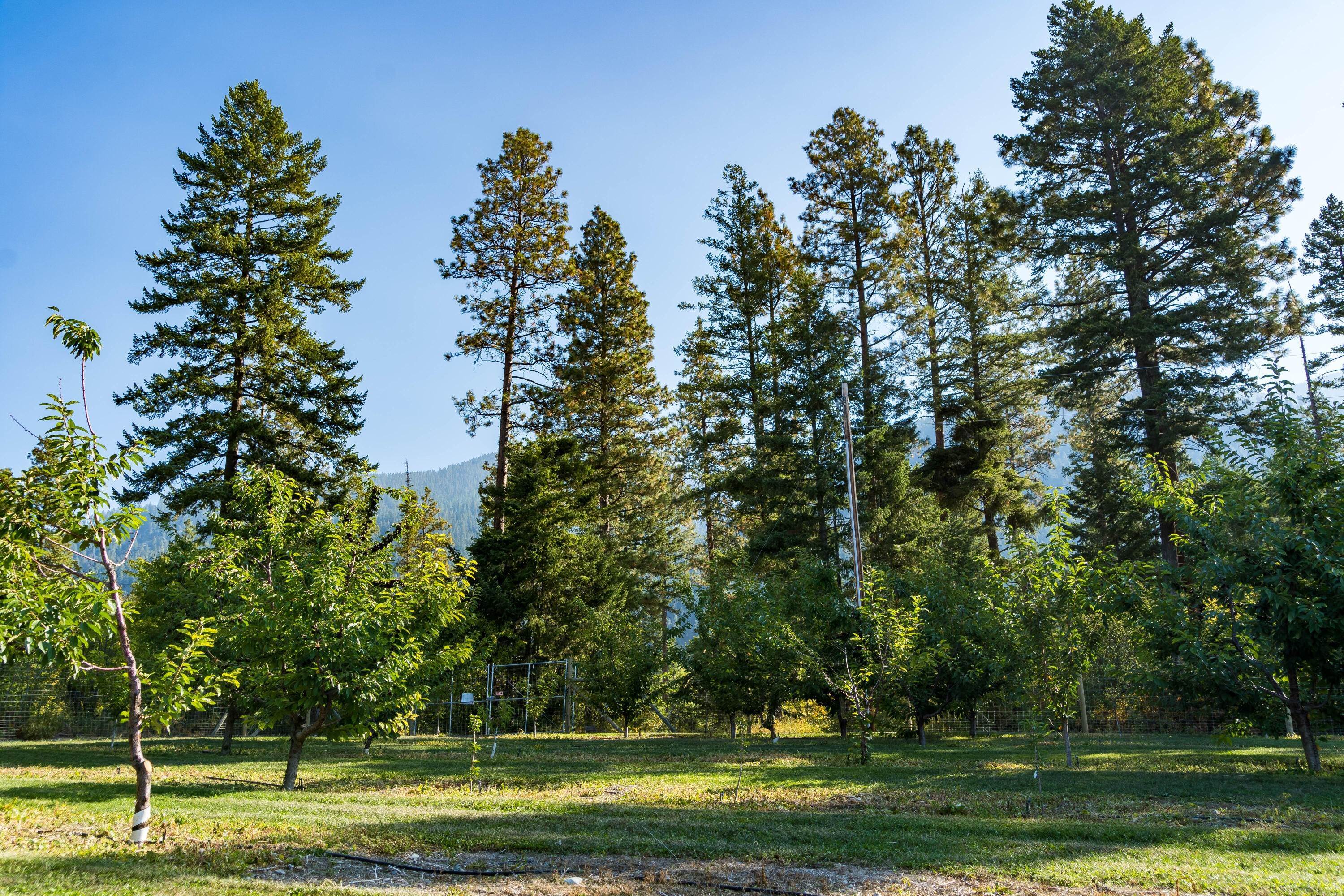 8. Land for Sale at Bear Hollow, Polson, Montana 59860 United States