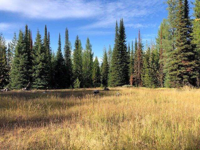 18. Land for Sale at 9275/9285 Lost Prairie Road, Marion, Montana 59925 United States