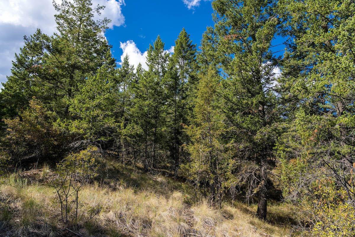 19. Land for Sale at 633 Hughes Bay Road, Lakeside, Montana 59922 United States