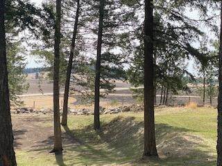 5. Single Family Homes for Sale at 715/730 Mooring Road Columbia Falls, Montana 59912 United States