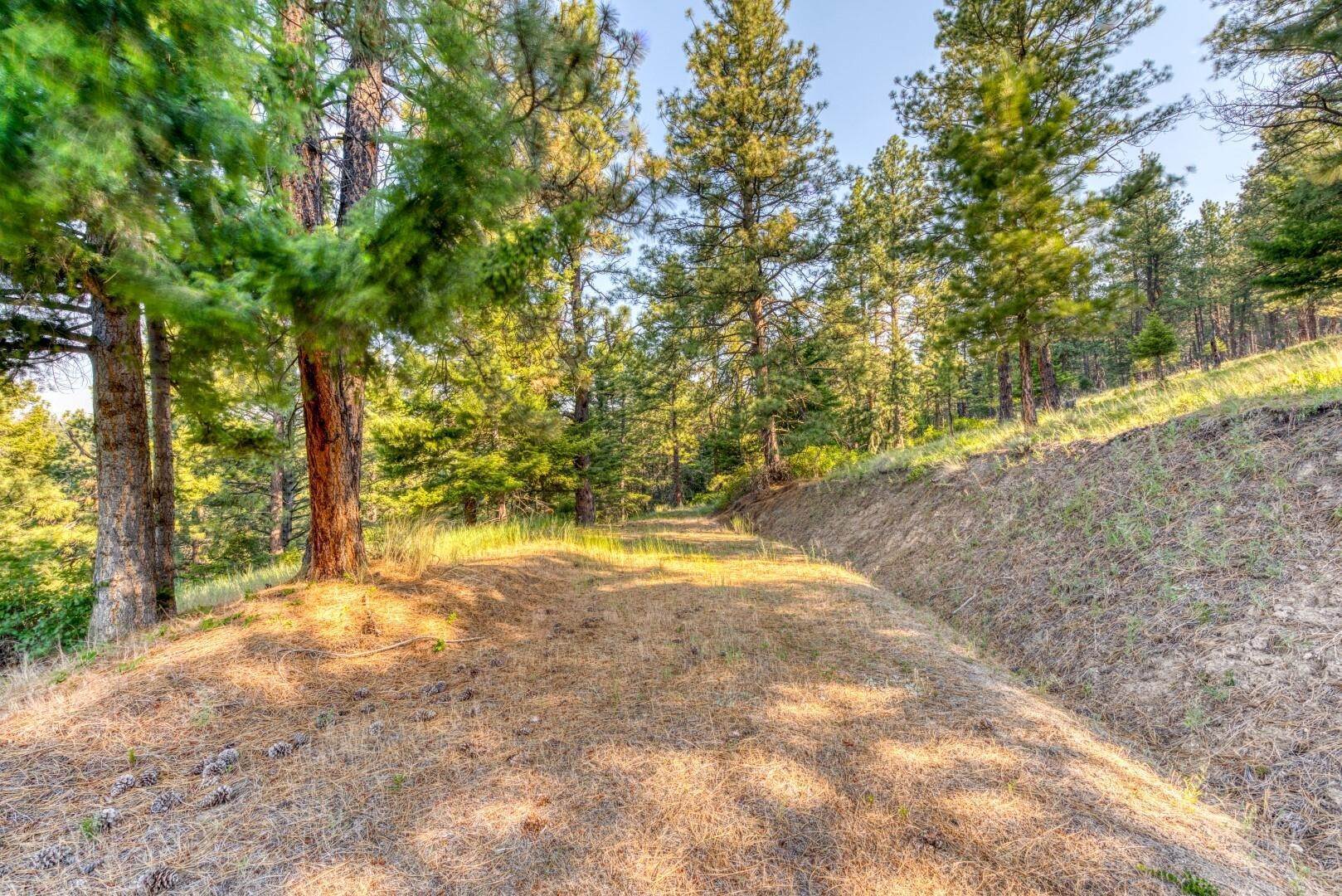 13. Land for Sale at 2212 Willow Creek Road, Corvallis, Montana 59828 United States