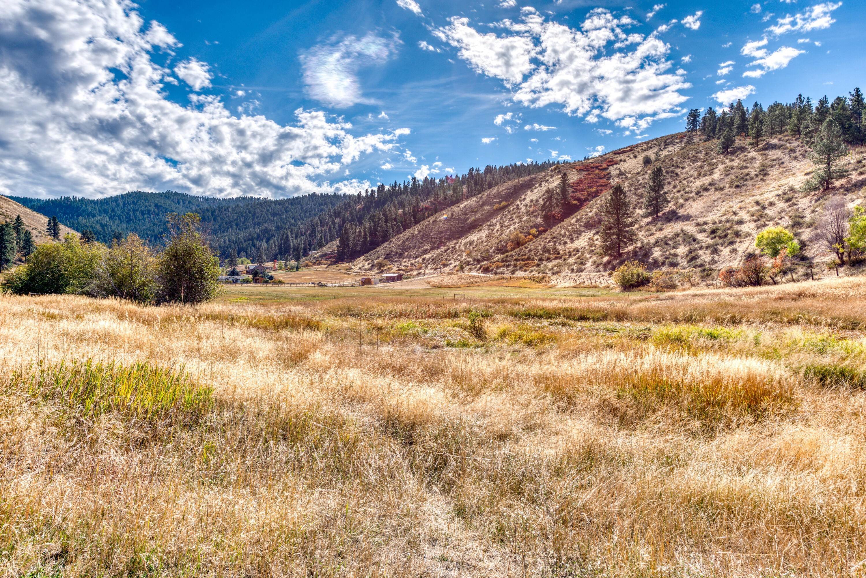 Land for Sale at 1770 Little Sleeping Child Road Hamilton, Montana 59840 United States