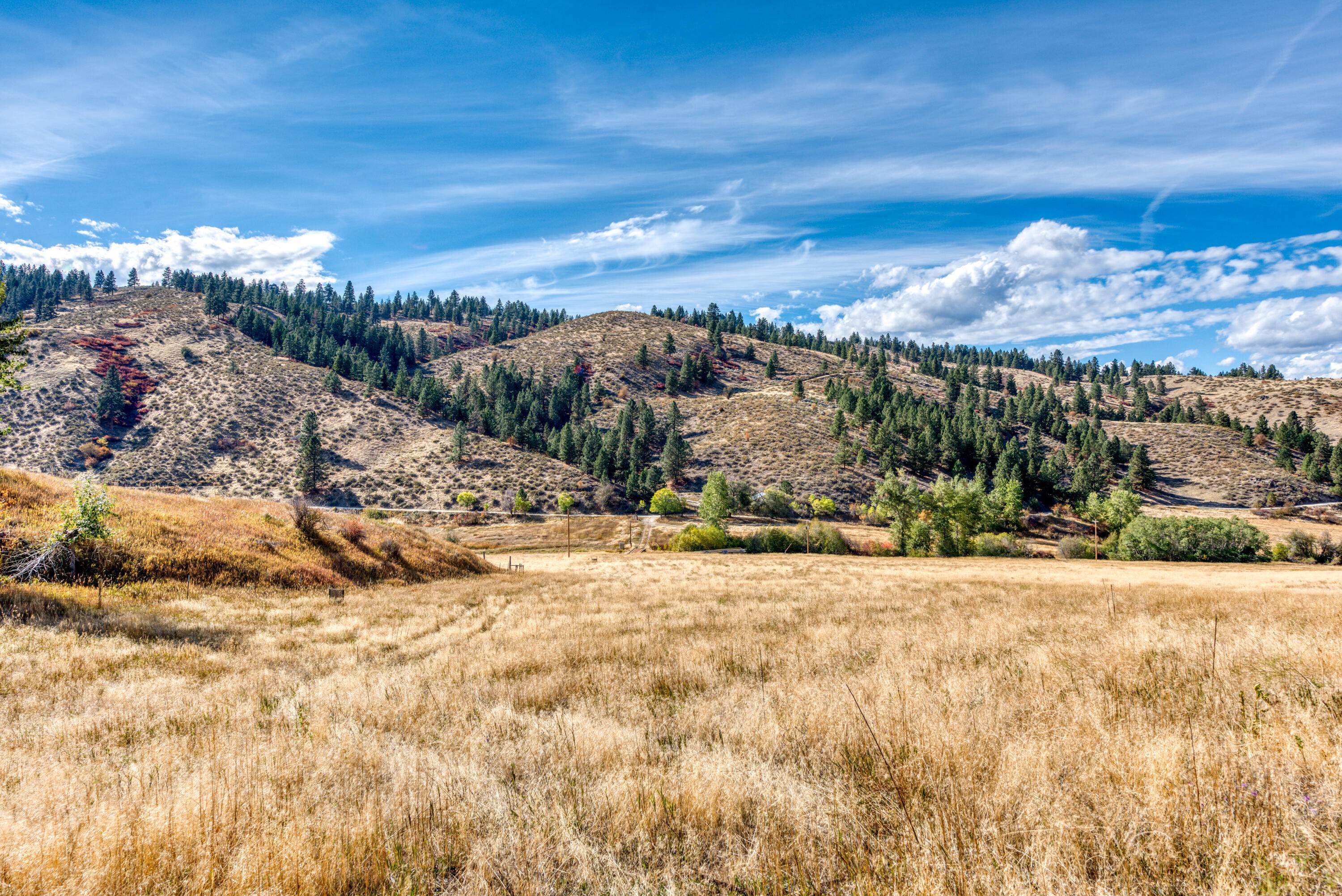 5. Land for Sale at 1770 Little Sleeping Child Road, Hamilton, Montana 59840 United States