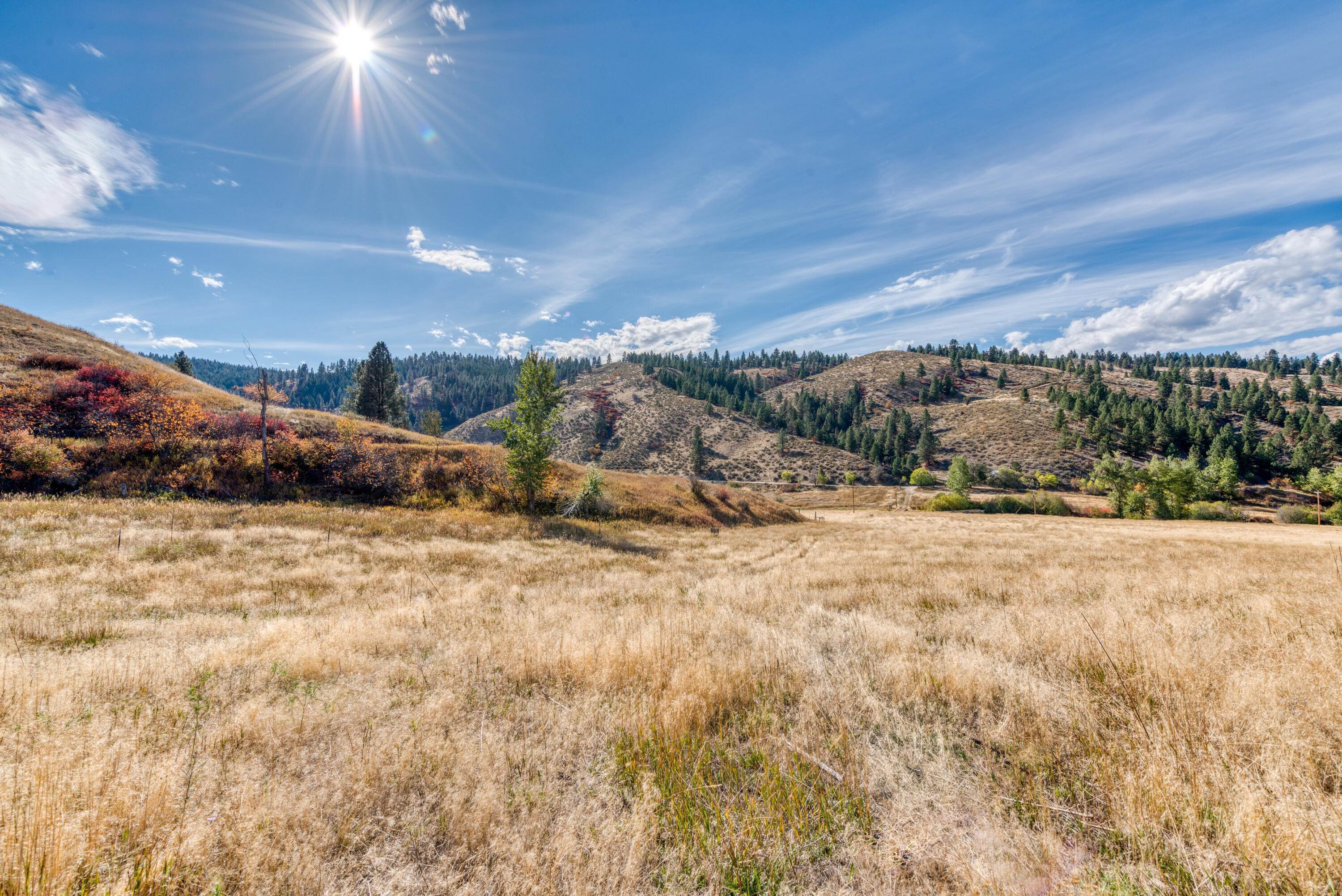7. Land for Sale at 1770 Little Sleeping Child Road, Hamilton, Montana 59840 United States