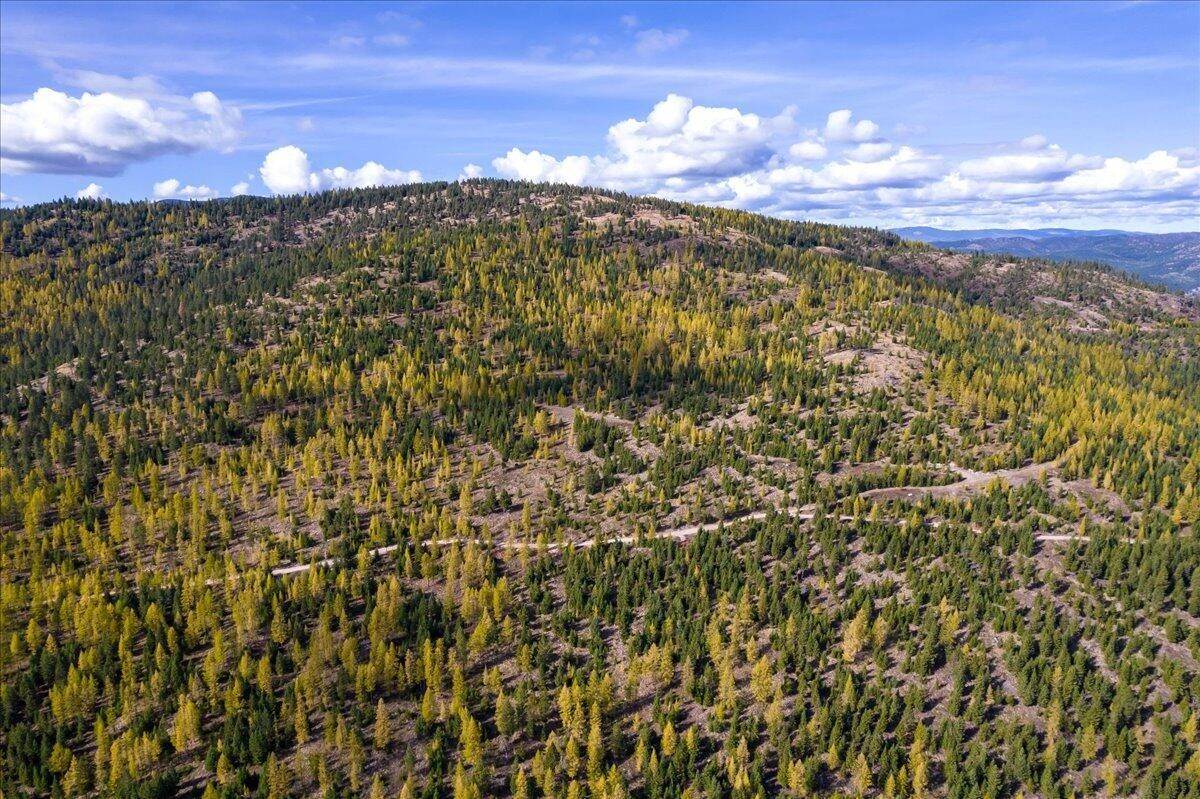 6. Land for Sale at Lot 1 Wild Bill Reserve, Kila, Montana 59920 United States